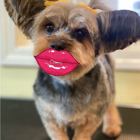 @heather1976p is Live! Come say hello!Pleaseโค๏ธthis listing for live shows! - Picture 6 of 10